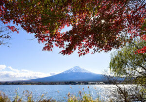 Middle East countries regard Japan highly in opinion poll
