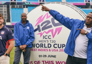 Cricket’s ability to mock itself