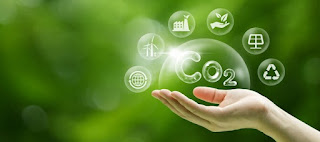 Saudi firm launches carbon exchange platform at COP29 to drive emission reductions