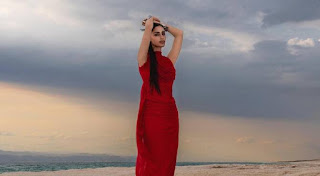 Palestinian Jordanian artist Zeyne gears up for album release